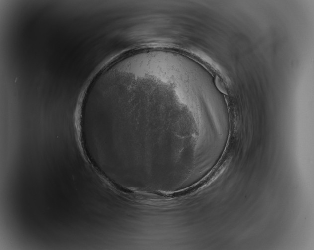 X0000087511325200705180947