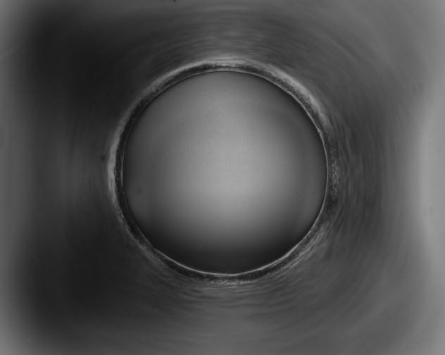X0000087511327200705180947