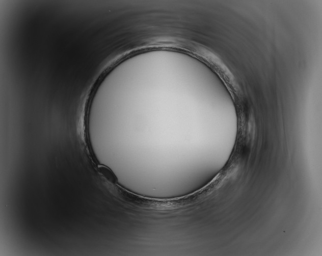X0000087511328200705180947
