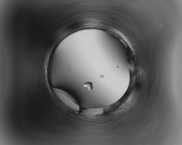 X0000087511330200705180947