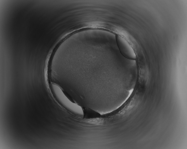 X0000087511331200705180947