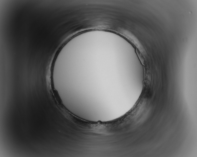 X0000087511332200705180947