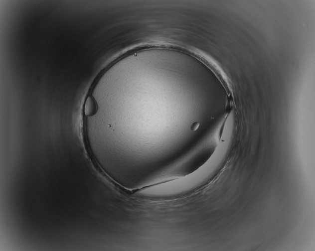 X0000087511335200705180947