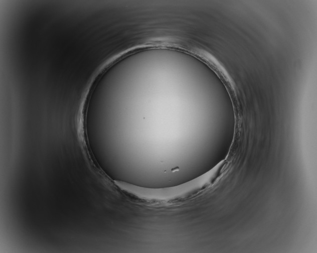 X0000087511336200705180947
