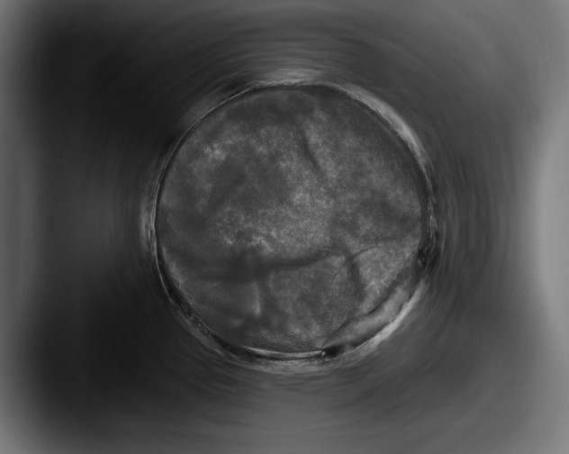 X0000087511337200705180947