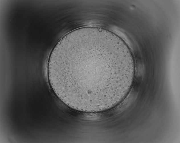 X0000087511338200705180947