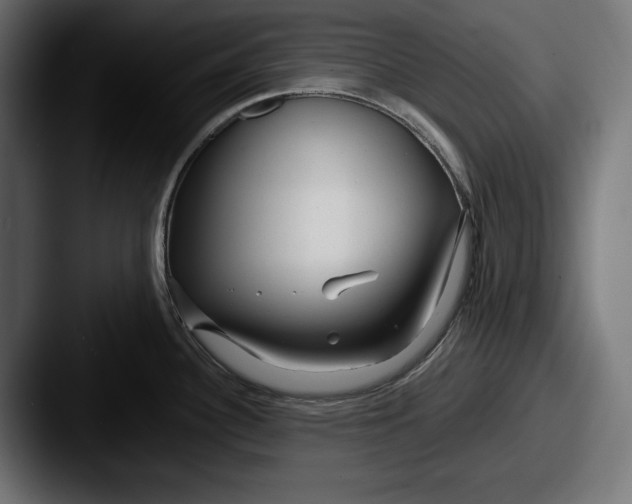 X0000087511340200705180947