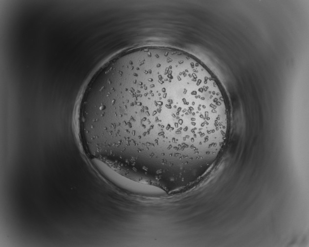 X0000087511341200705180947