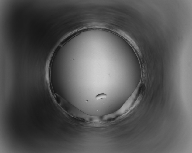 X0000087511342200705180947