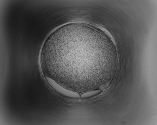 X0000087511344200705180947