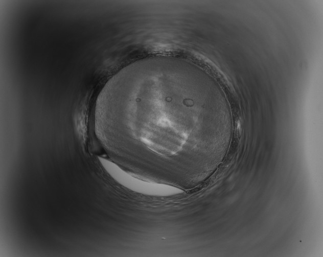 X0000087511348200705180947