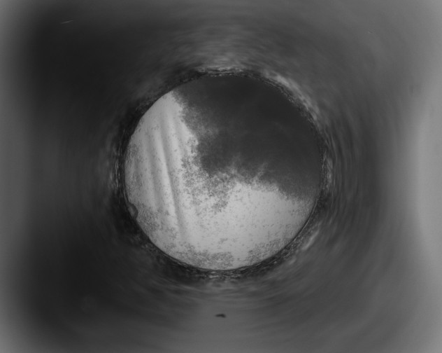 X0000087511350200705180947