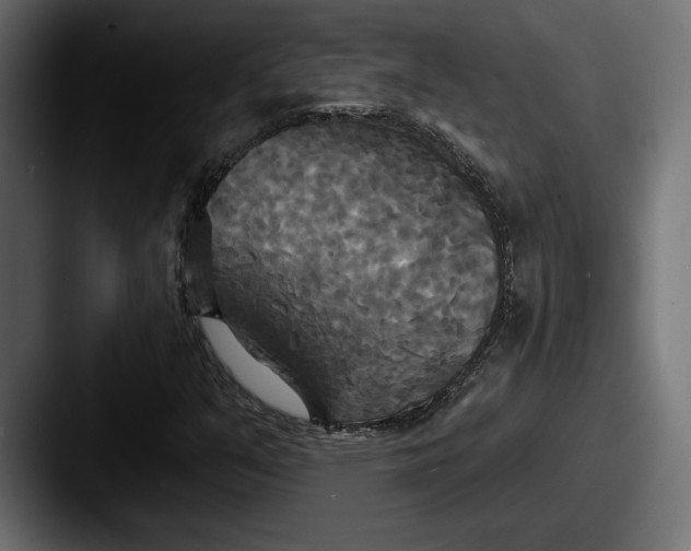 X0000087511351200705180947