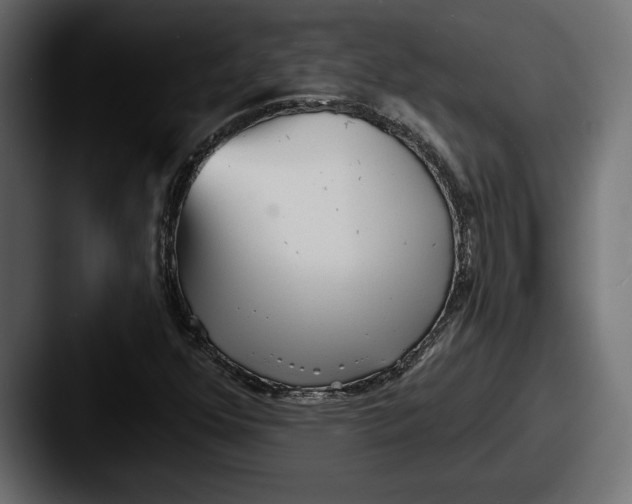 X0000087511352200705180947