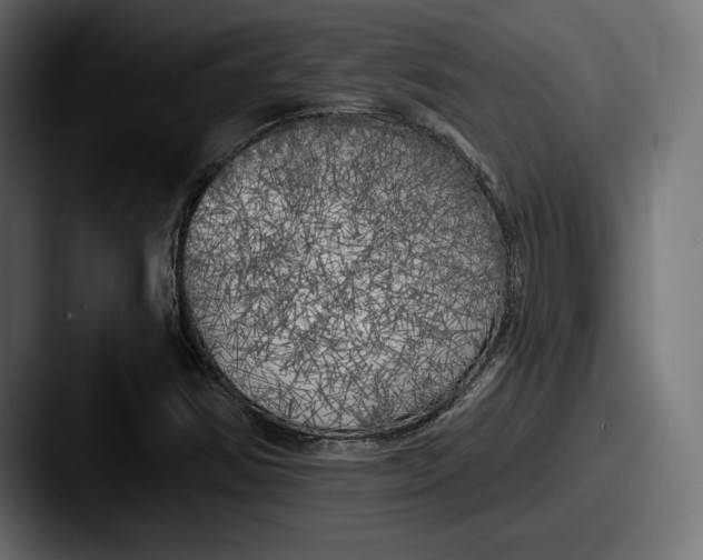 X0000087511354200705180947