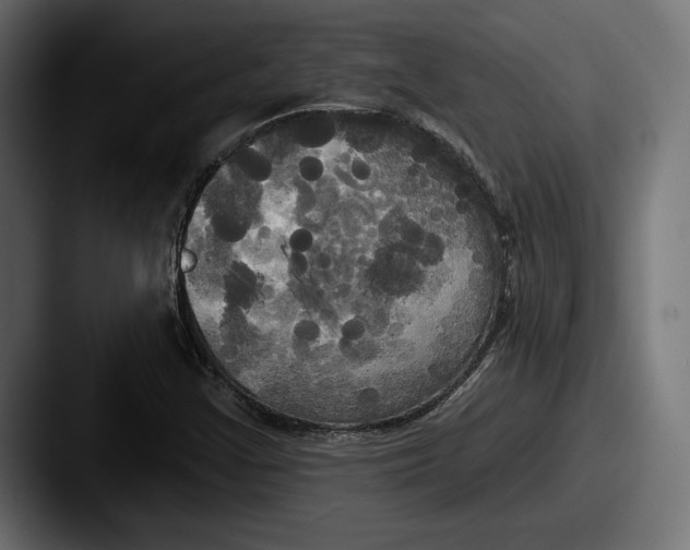 X0000087511355200705180947