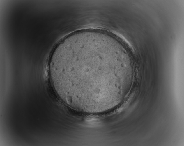 X0000087511358200705180947