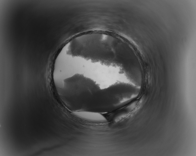 X0000087511359200705180947
