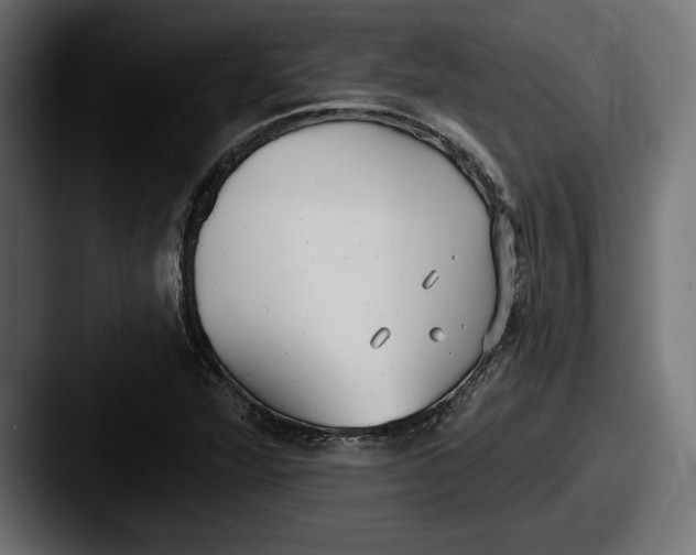 X0000087511360200705180947