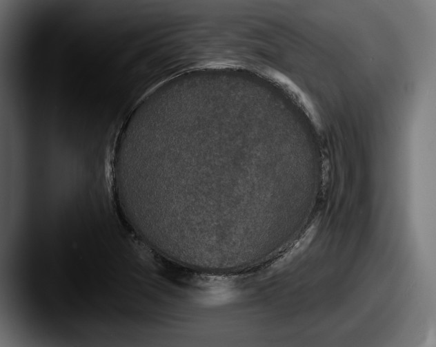 X0000087511361200705180947
