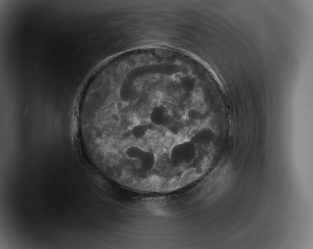 X0000087511363200705180947