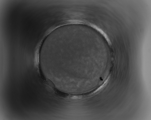 X0000087511365200705180947