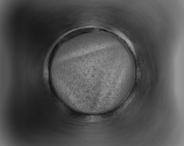 X0000087511368200705180947