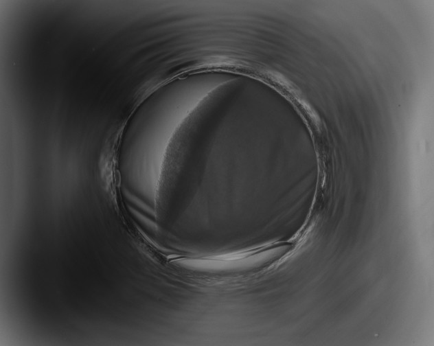 X0000087511369200705180947