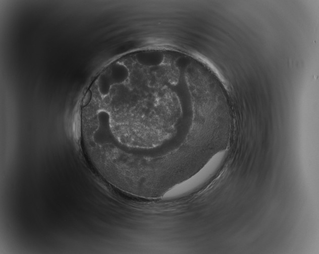 X0000087511371200705180947