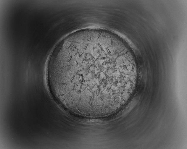 X0000087511375200705180947