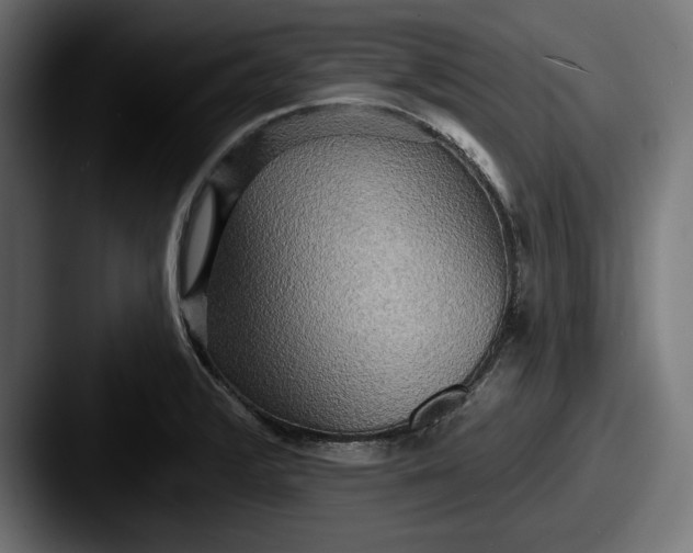 X0000087511376200705180947
