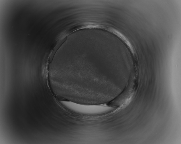 X0000087511377200705180947