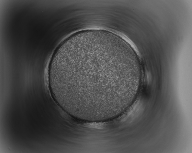 X0000087511380200705180947