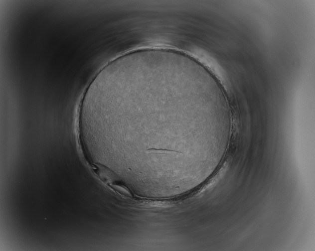 X0000087511382200705180946