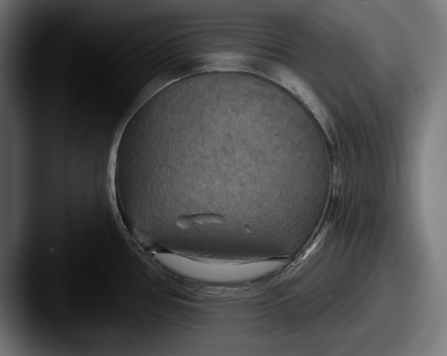 X0000087511386200705180946