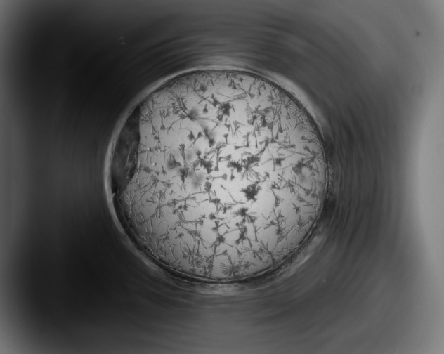 X0000087511387200705180946