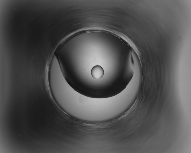X0000087511388200705180946