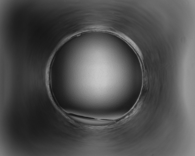 X0000087511389200705180946