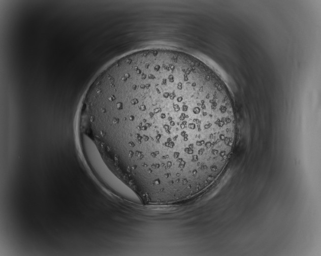 X0000087511391200705180946