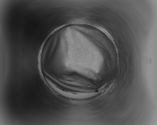 X0000087511392200705180946