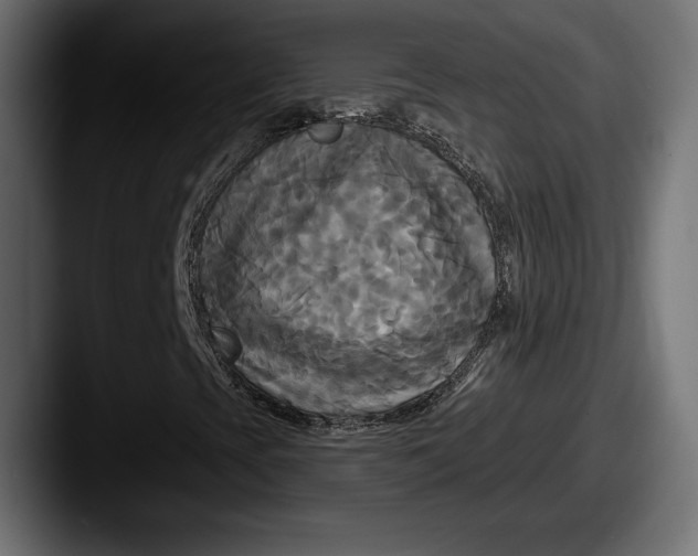 X0000087511393200705180946