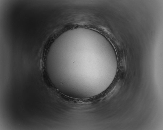 X0000087511398200705180946