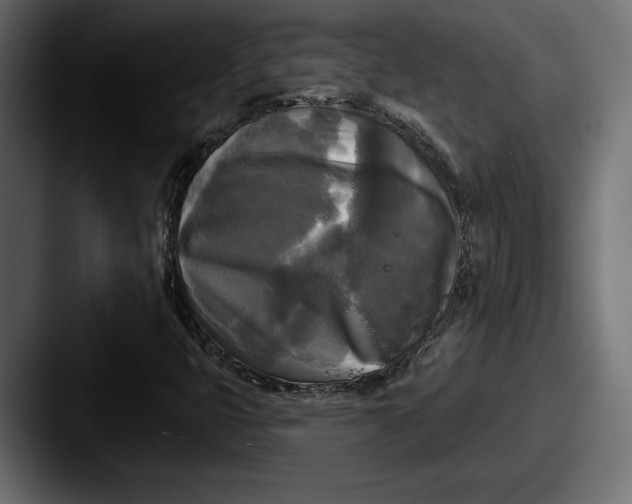 X0000087511399200705180946
