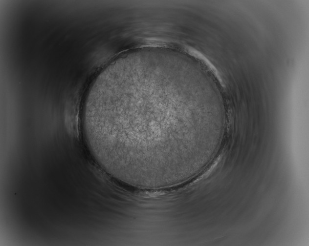 X0000087511403200705180946