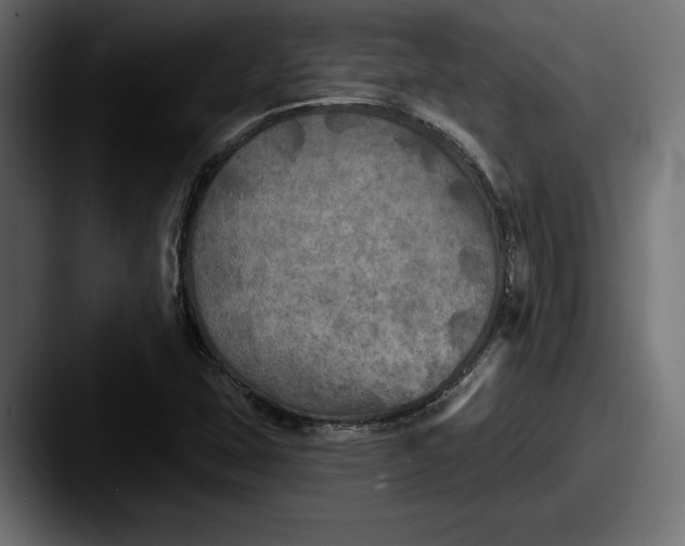X0000087511407200705180946