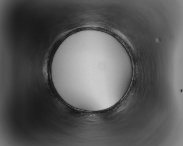 X0000087511408200705180946