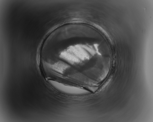 X0000087511413200705180946