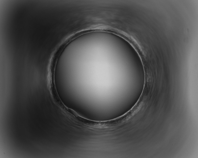 X0000087511414200705180946