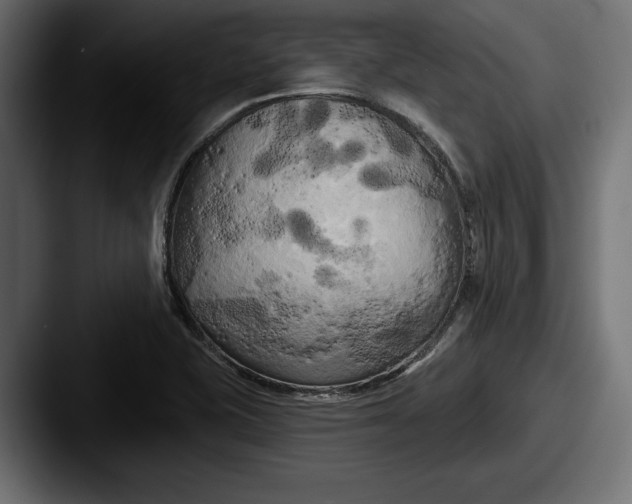 X0000087511415200705180946