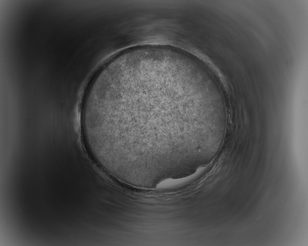X0000087511416200705180946